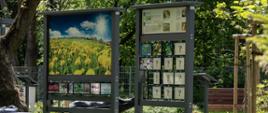 Ogród Botaniczny w Brwinowie