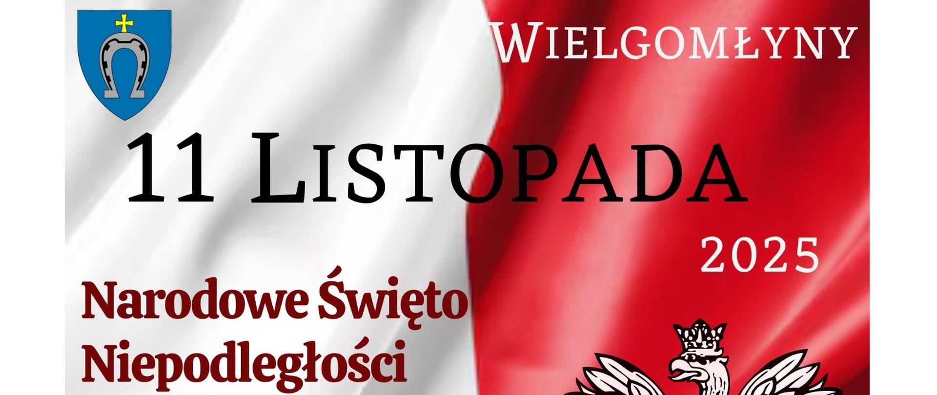 Na biało-czerwonym tle widnieje w górnej części z lewej strony niebieski herb Gminy Wielgomłyny a z prawej napis Wielgomłyny.
Poniżej pośrodku napis 11 Listopada 2015. Narodowe Święto Niepodległości.Na dole z prawej godło Polski - biały orzeł w koronie.