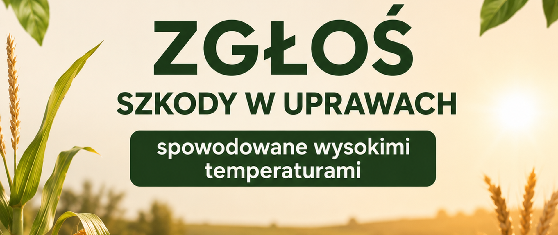 Szkody w uprawach