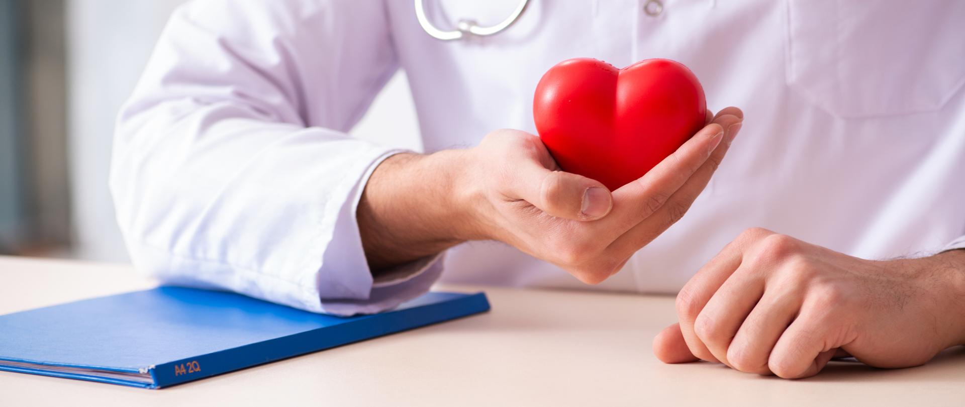 Male doctor cardiologist holding heart model 