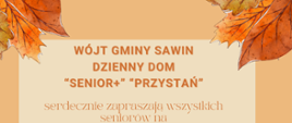 Gminny Dzień Seniora