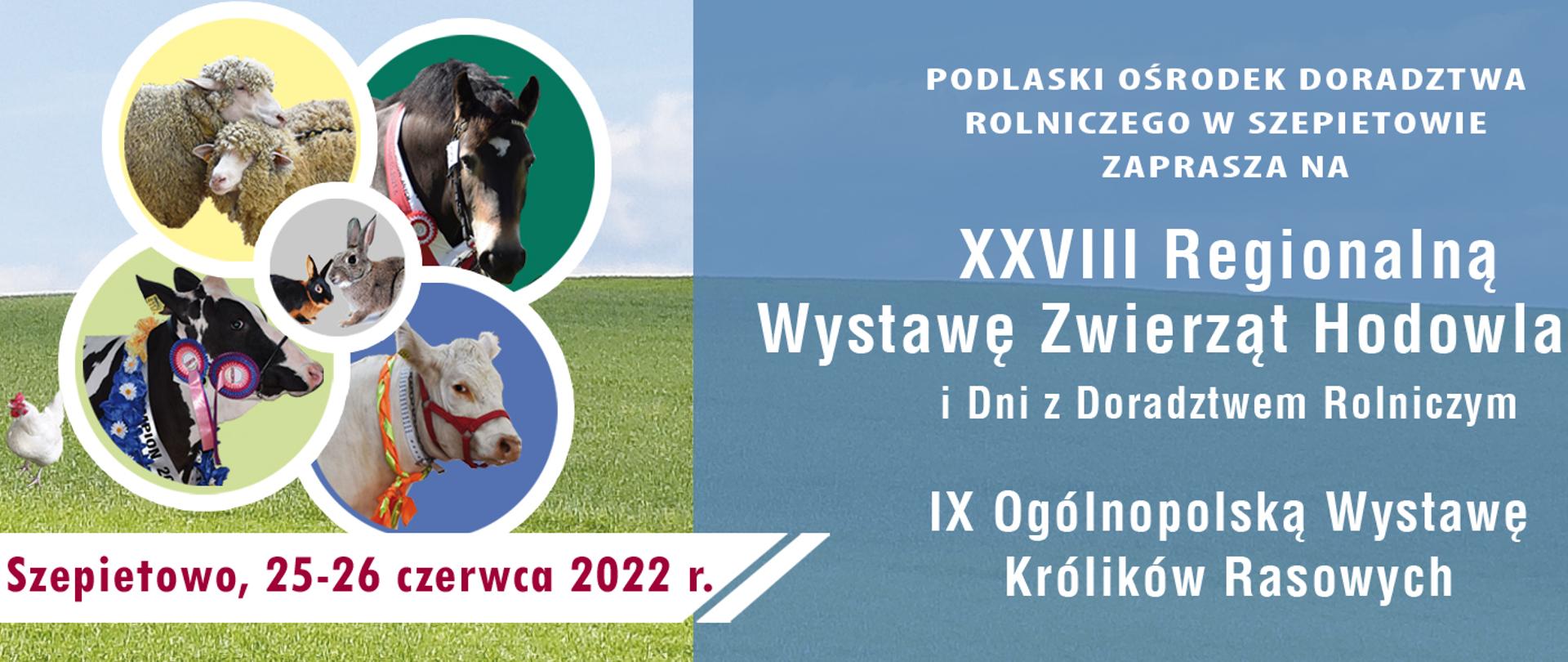 baner reklamujący dwudziestą ósmą regionalną wystawę zwierząt hodowlanych w szepietowie. Grafika oprócz tekstu zawiera zdjęcia zwierząt