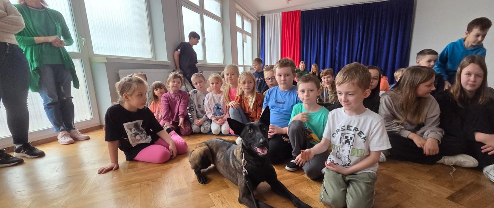 Zdjęcie przedstawia uczniów siedzących w sali gimnastycznej, podczas warsztatów "Poznaj mojego psa", wraz z jednym z psów szkoleniowych.