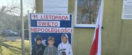 Bieg Niepodległości.