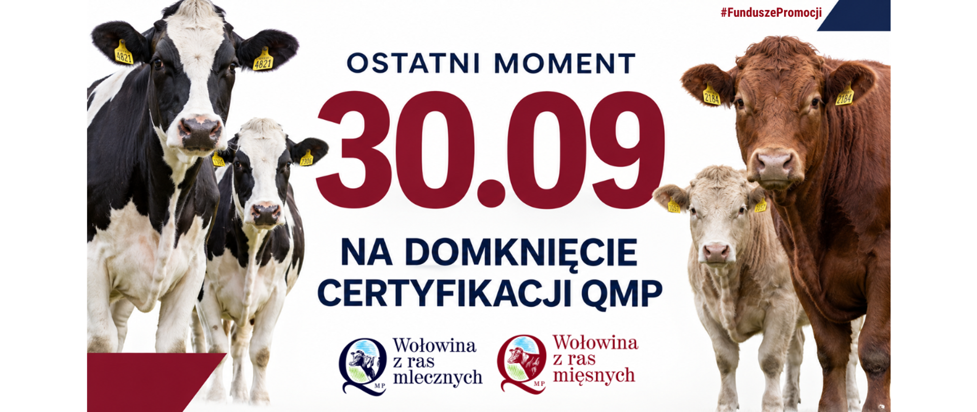 Certyfikacja QMP