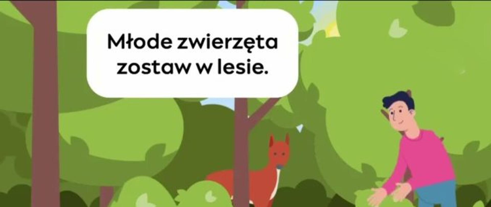Nie zabieraj zwierząt z lasu! 