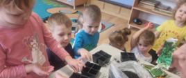 Dzieci w trakcie pracy przy zakładaniu ogrodu - przygotowanie sadzonek