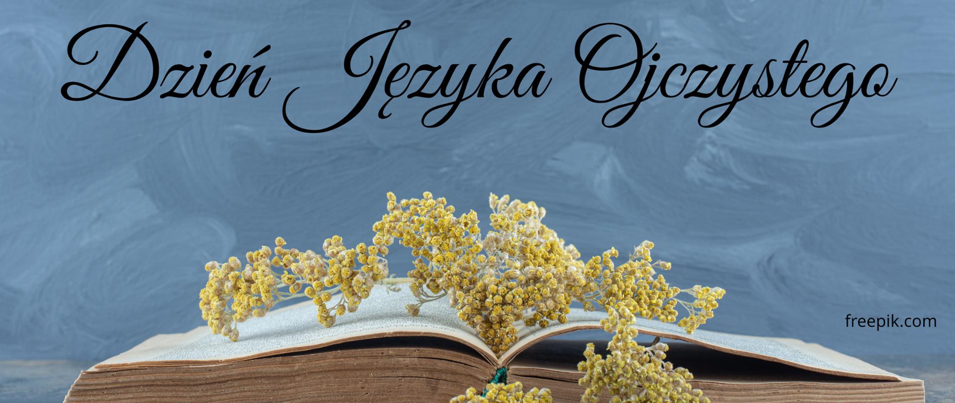 Dzień Języka Ojczystego