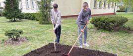 Dwóch uczniów grabi powierzchnię ziemi.