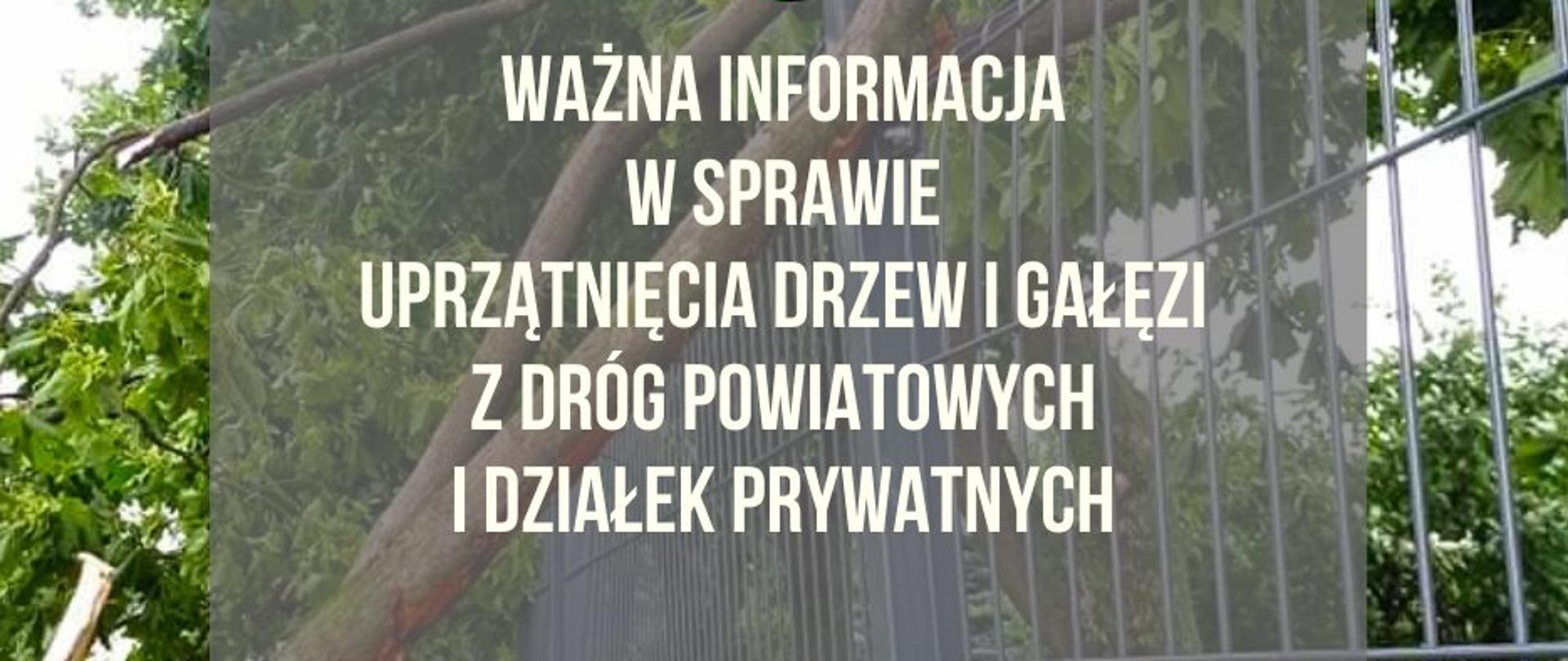 Grafika informacyjna - przewrócone drzewo na ogrodzenie, herb powiatu oraz napis "Ważna informacja w sprawie uprzątnięcia drzew i gałęzi z dróg powiatowych i działek prywatnych"