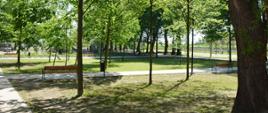 park, zielone drzewa i trawa, poustawiane ławeczki