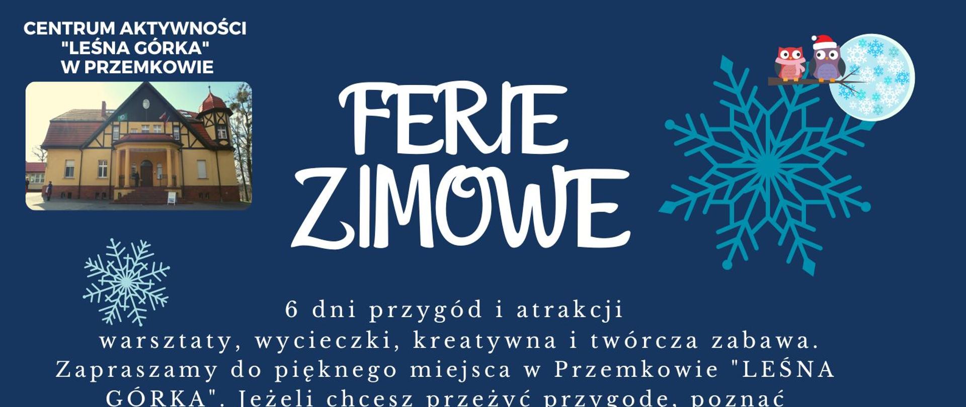 Plakat z ofertą ferii zimowych dla dzieci w Przemkowie w powiecie polkowickim