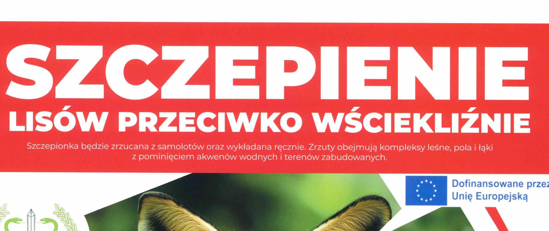 Szczepienie lisów