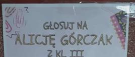 Kampania wyborcza do S.U.