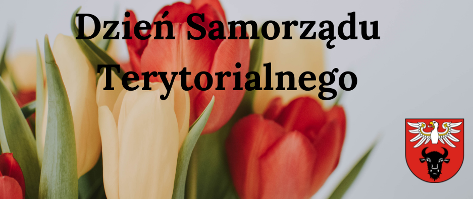27 maja - Dzień Samorządu Terytorialnego