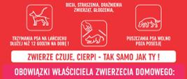 Nie bądź obojętny – reaguj na krzywdę zwierząt!