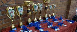 Stół dekoracyjny z pucharami i medalami