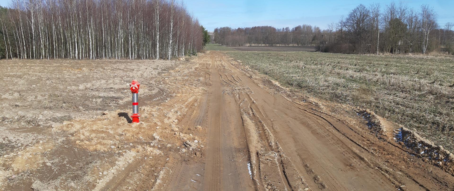 Budowa sieci wodociągowej na terenie miejscowości Skrzeszew