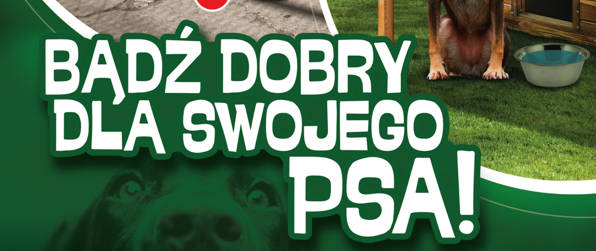 Bądź dobry dla swojego psa