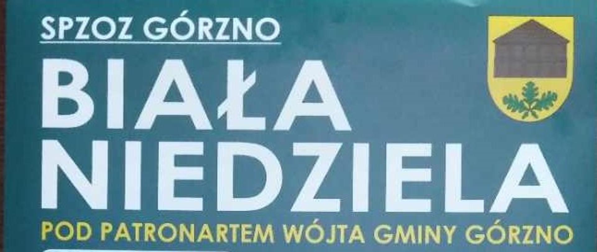 Plakat Biała Niedziela
