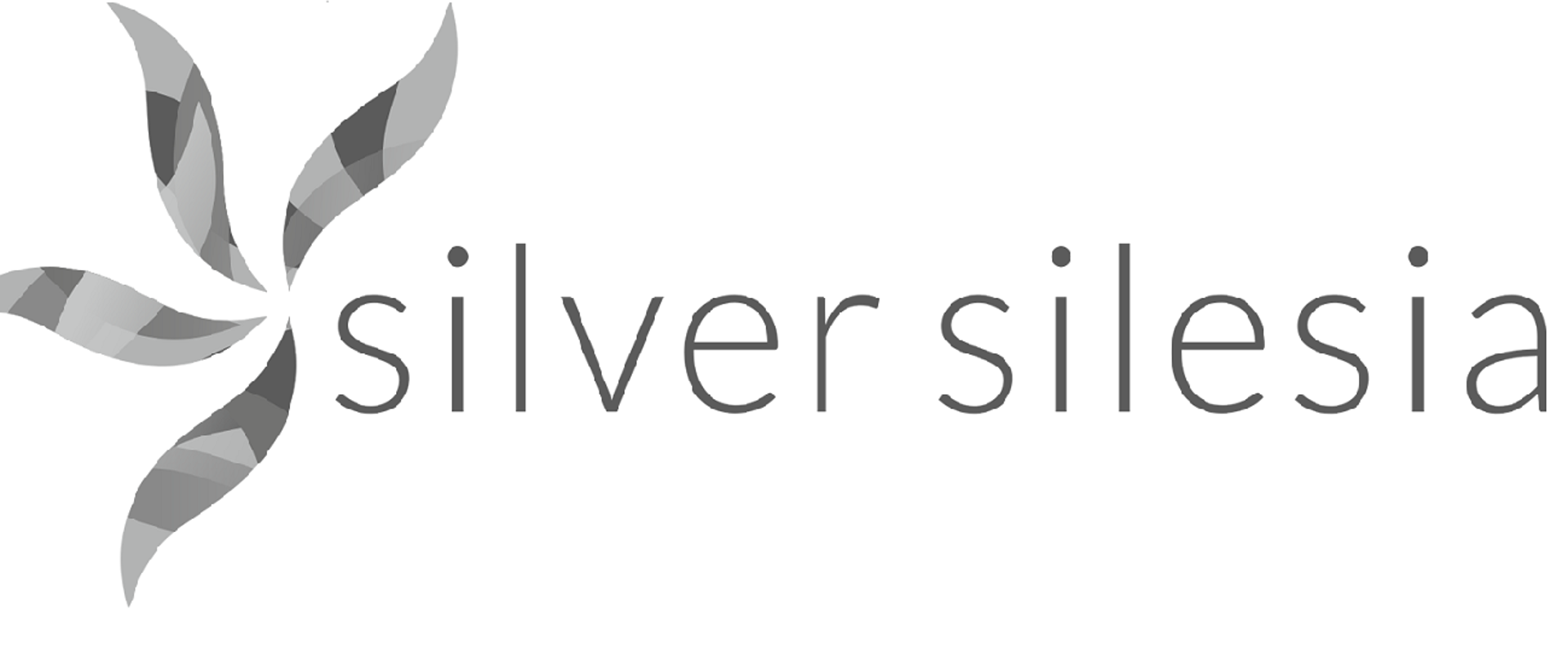 logo silver silesia