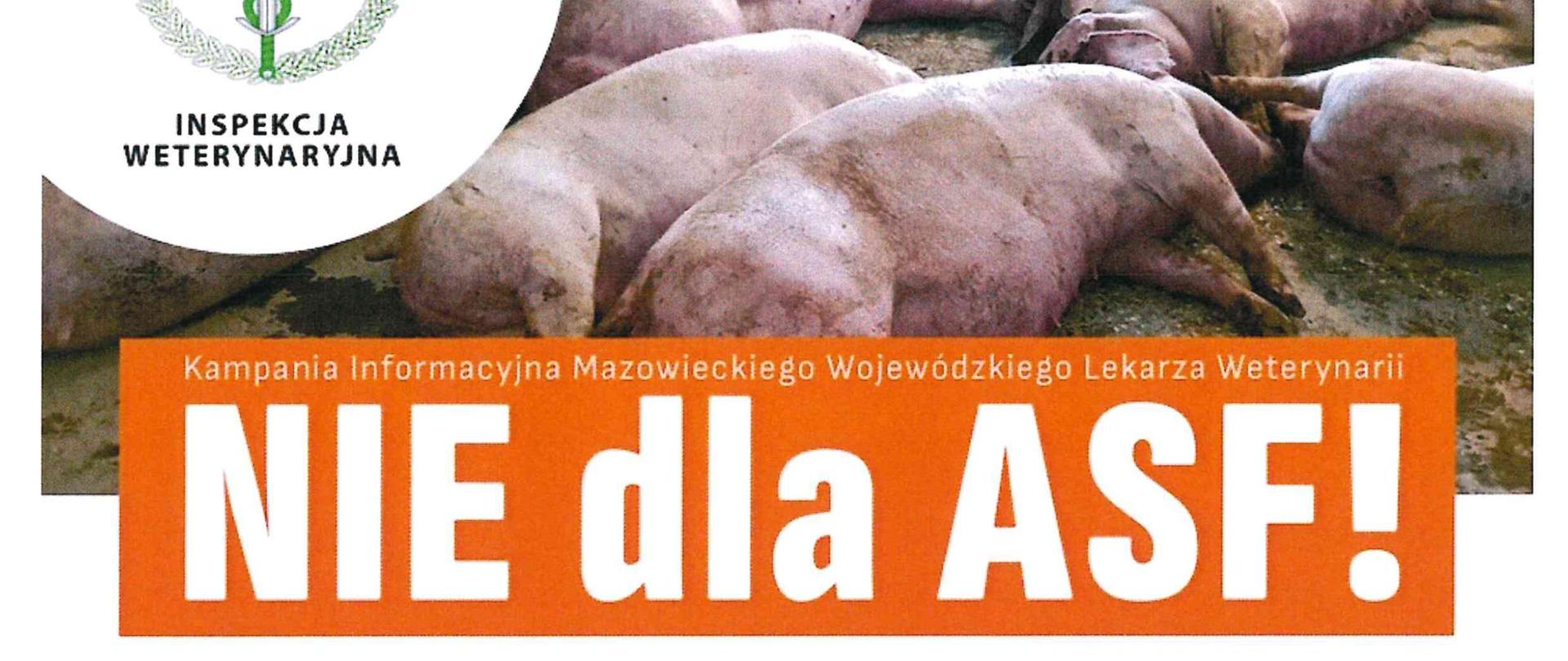 NIE dla ASF!