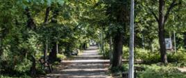 Park Niepodległości w Piastowie - ścieżka w parku