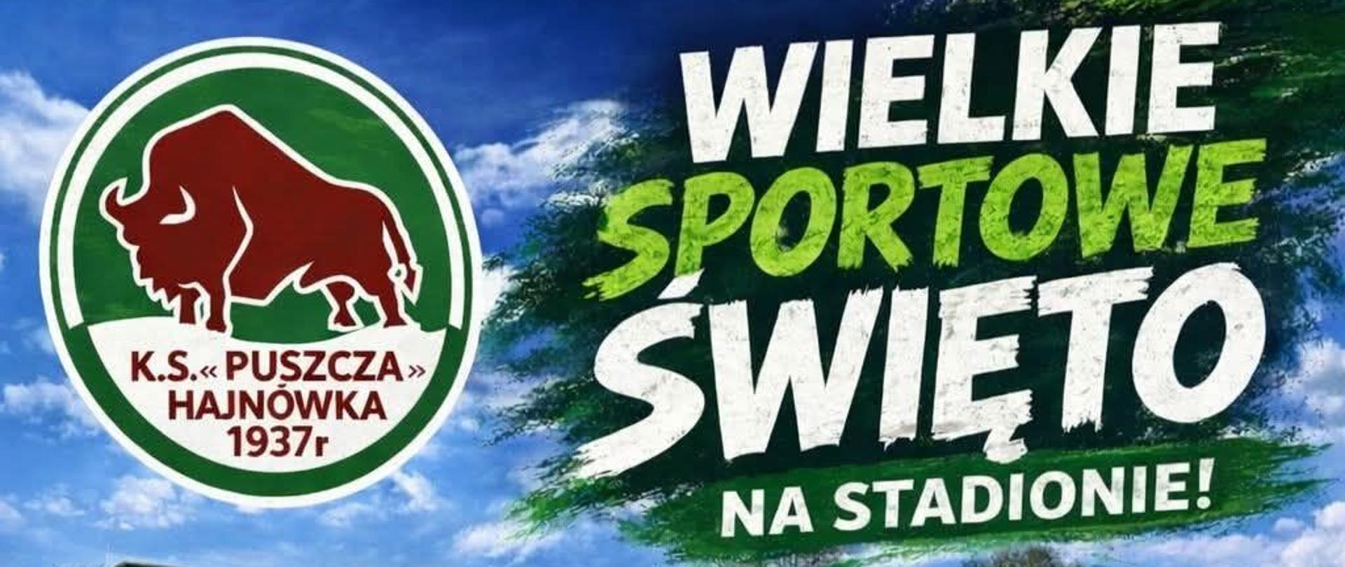 Na tle grafiki boiska umieszczono informacje o wydarzeniu ,zawarte w artykule.