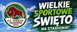 Na tle grafiki boiska umieszczono informacje o wydarzeniu ,zawarte w artykule.