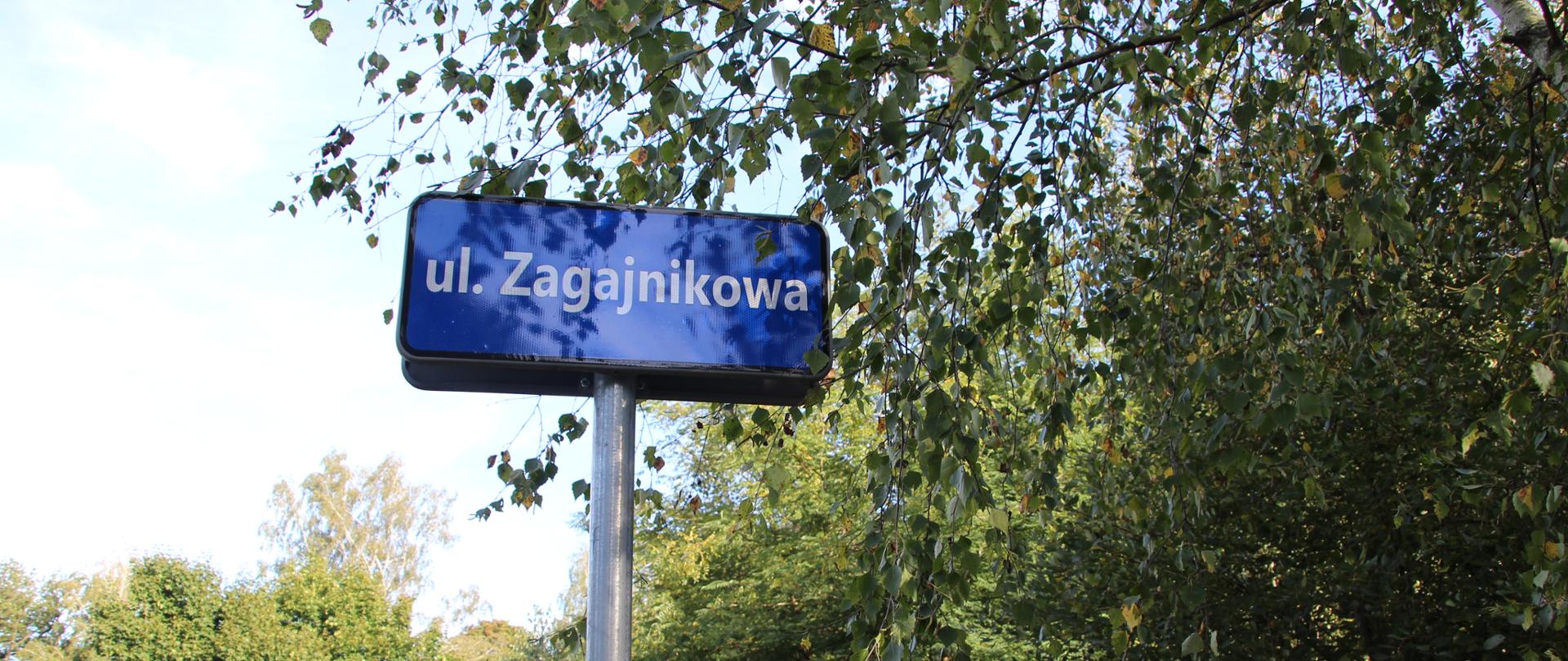 Niebieska tablica z białą nazwą ulicy: ulica Zagajnikowa, zamontowana na metalowym słupku na tle drzew.