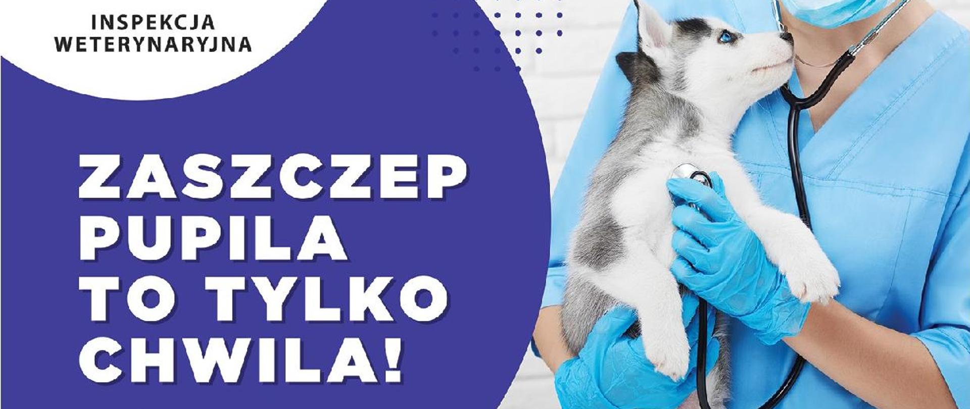 plakat informujący o akcji Zaszczep pupila to tylko chwila!