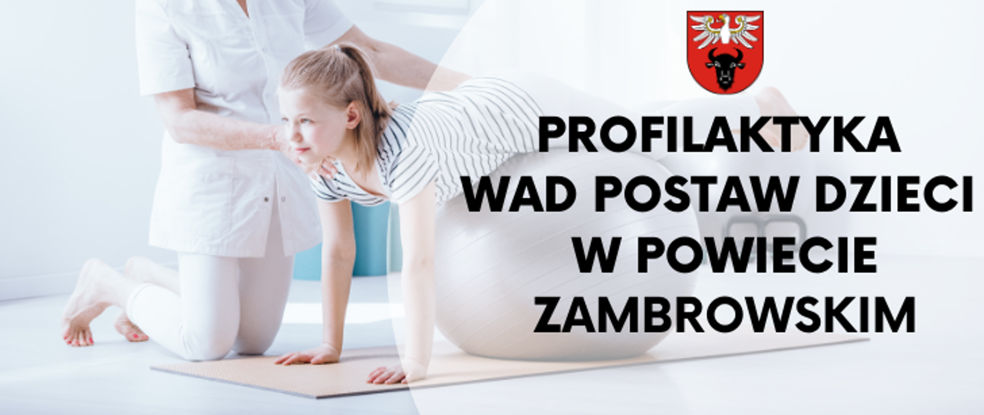 banner reklamowy z logo powiatu oraz napis "Profilaktyka wad postaw dzieci w Powiecie Zambrowskim"