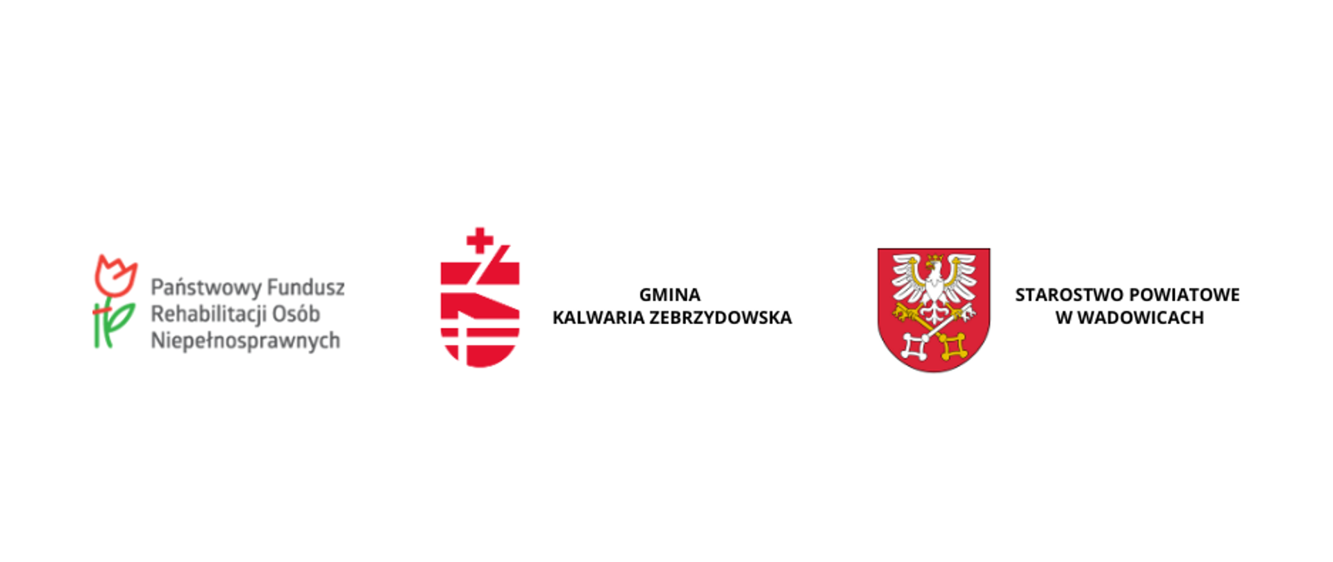 Zakup samochodu (mikrobusa) dla ŚDS w Kalwarii Zebrzydowskiej
