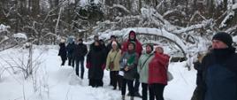 Zajęcia w terenie - grupa idzie leśną ścieżką
