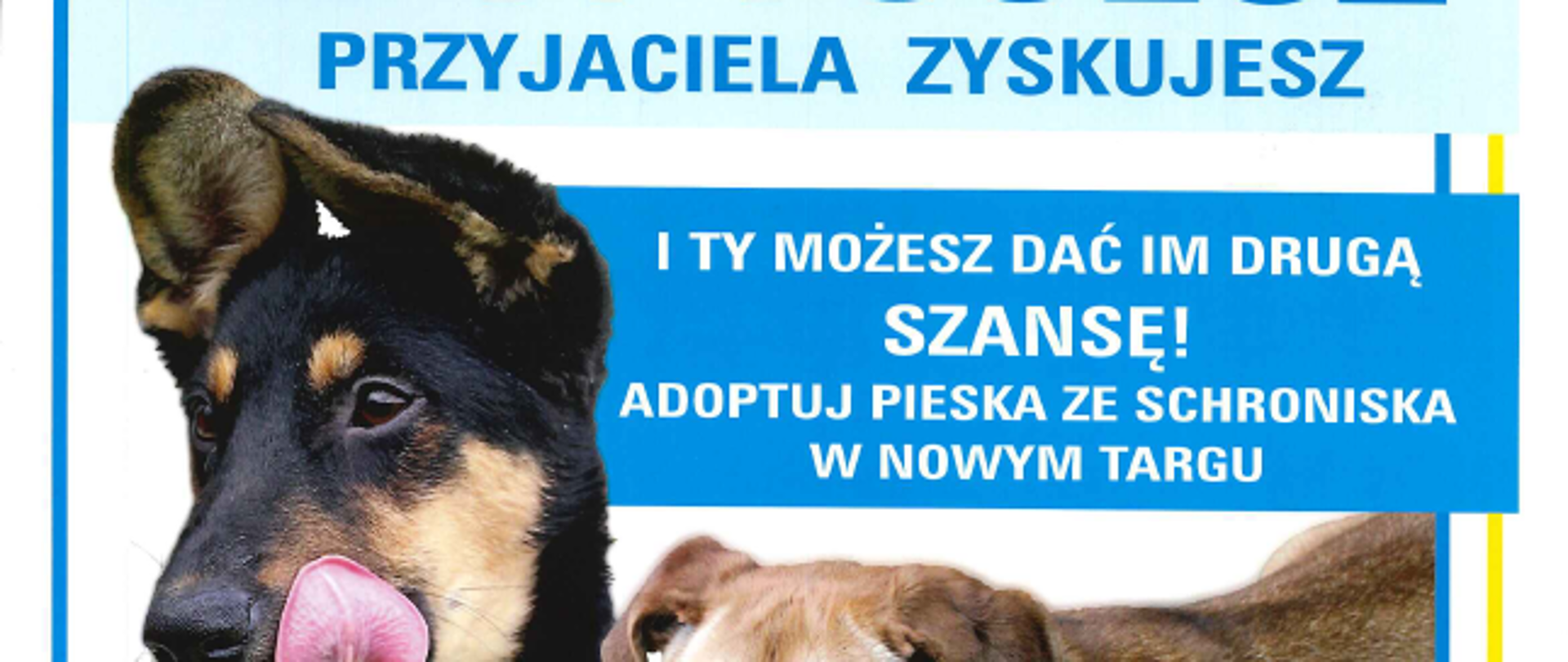 Plakat dot. adopcji