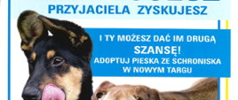 Plakat dot. adopcji