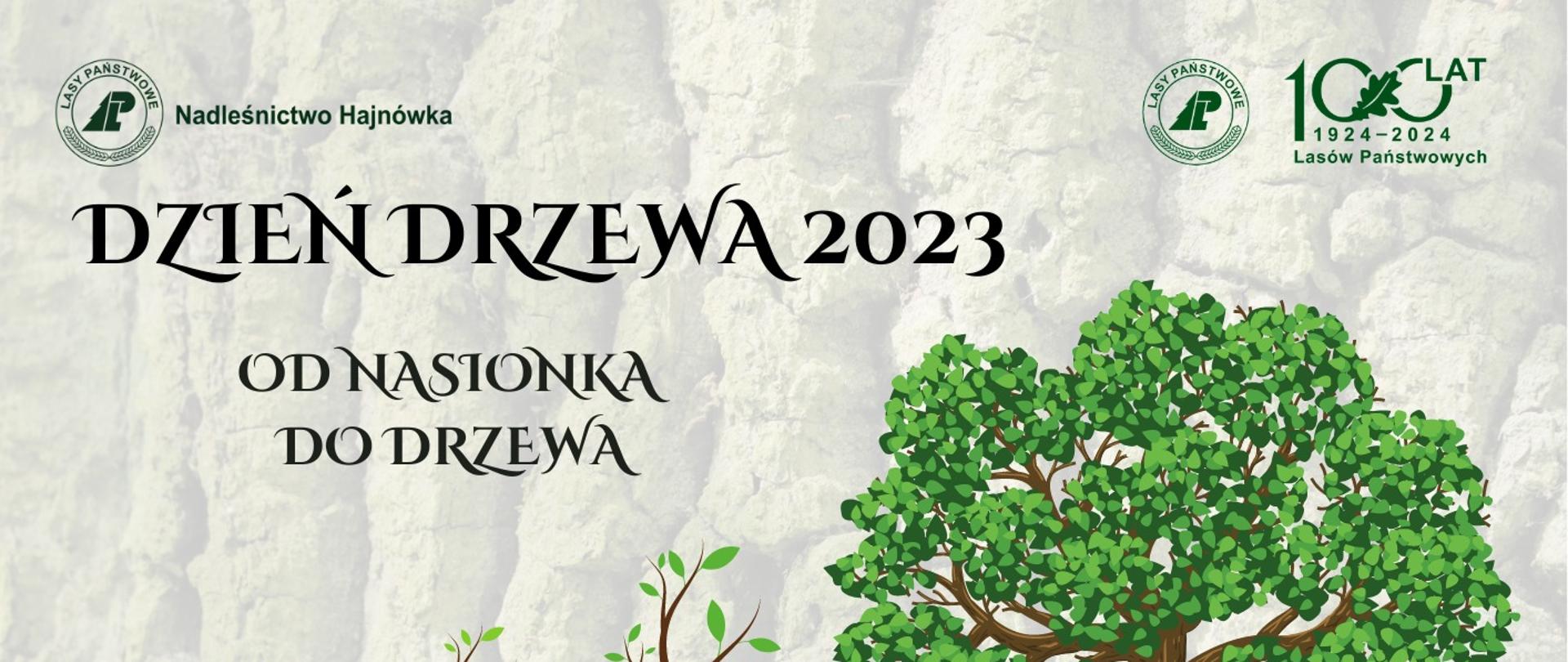 Dzień drzewa 2023. Od nasionka do drzewa. Szkółka leśna Nadleśnictwa Hajnówka, sobota 14.10.2023, godz. 10.00. Program: Spacer z leśnikiem po lesie, spacer ze szkółkarzem, leśna familiada, warsztaty tworzenia leśnych toreb 