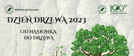 Dzień drzewa 2023. Od nasionka do drzewa. Szkółka leśna Nadleśnictwa Hajnówka, sobota 14.10.2023, godz. 10.00. Program: Spacer z leśnikiem po lesie, spacer ze szkółkarzem, leśna familiada, warsztaty tworzenia leśnych toreb 