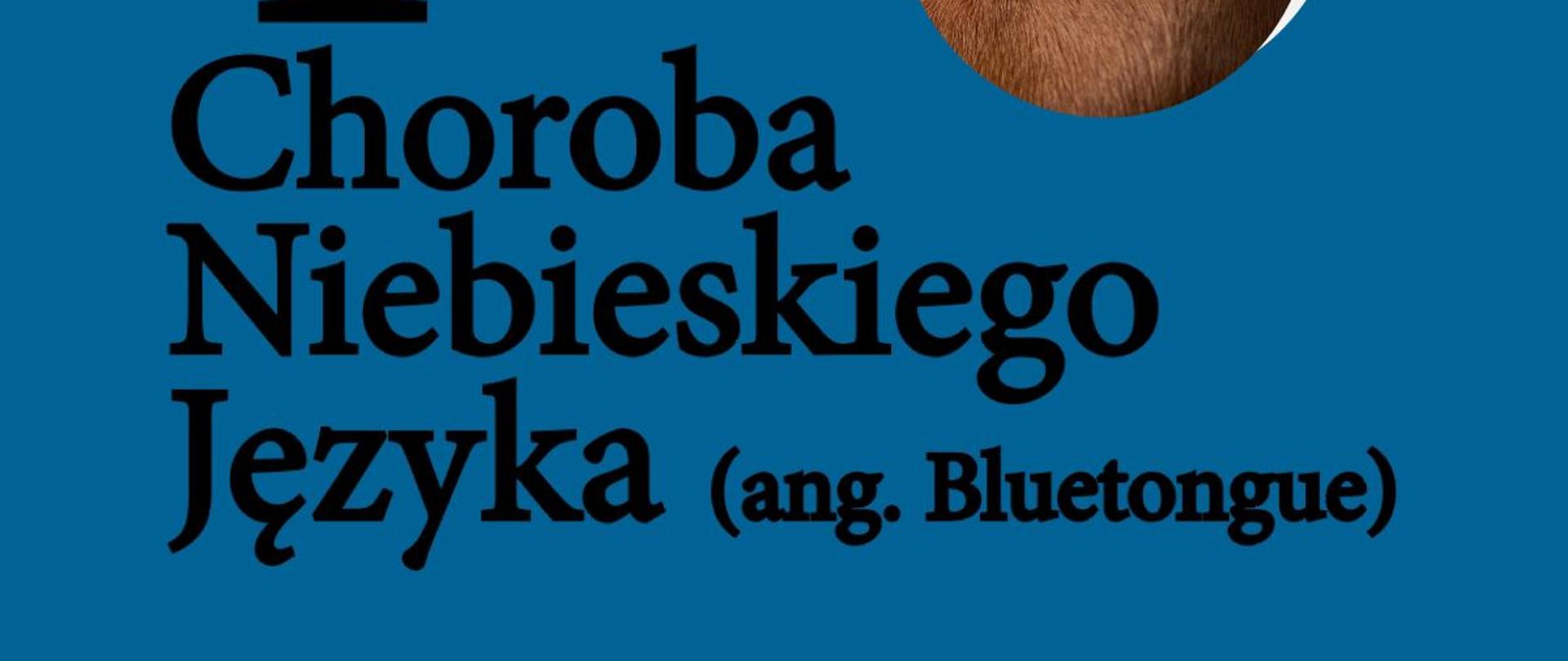 Informacja o chorobie niebieskiego języka