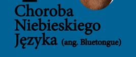 Informacja o chorobie niebieskiego języka