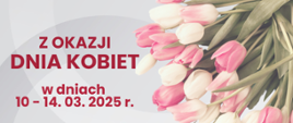 jasne tło po prawej stronie różowe tulipany czerwone litery z okazji dnia kobiet 