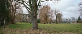 zamek otoczony parkiem