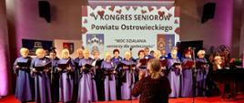 V Kongres Seniorów Powiatu Ostrowieckiego: Integracja, pasja i moc społecznego działania