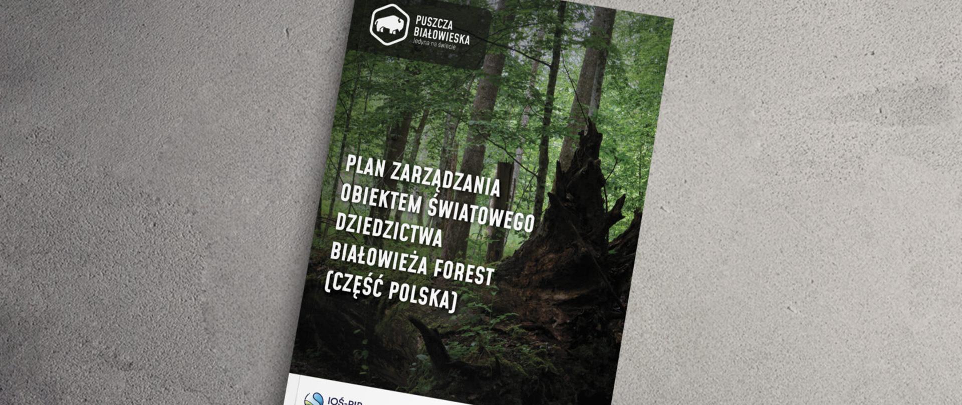 Plan Zarządzania Obiektem Światowego Dziedzictwa Białowieża Forest (część polska)