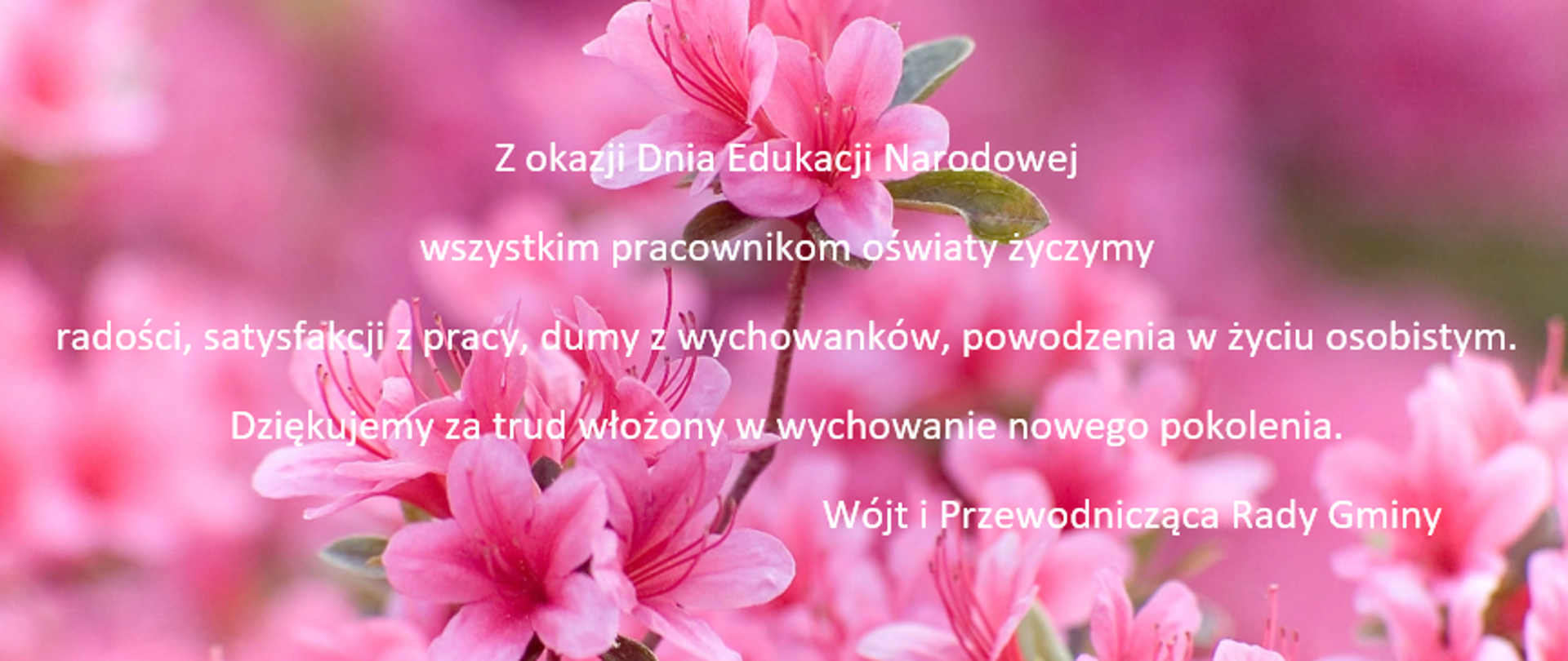 na tle różowych kwiatów biały napis: Z okazji Dnia Edukacji Narodowej wszystkim pracownikom oświaty życzymy radości, satysfakcji z pracy, dumy z wychowanków, powodzenia w życiu osobistym. Dziękujemy za trud włożony w wychowanie nowego pokolenia. Wójt i Przewodnicząca Rady Gminy
