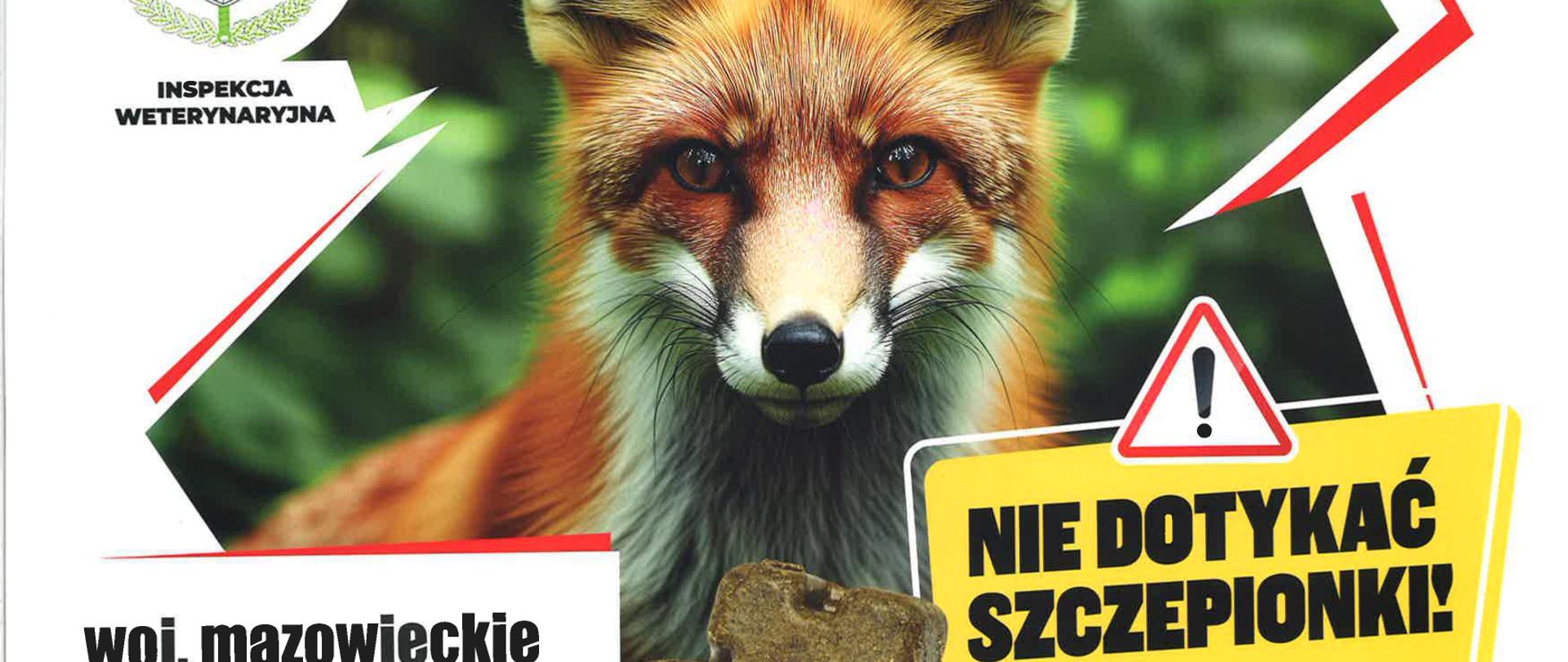 Wścieklizna_lisów_page-0001