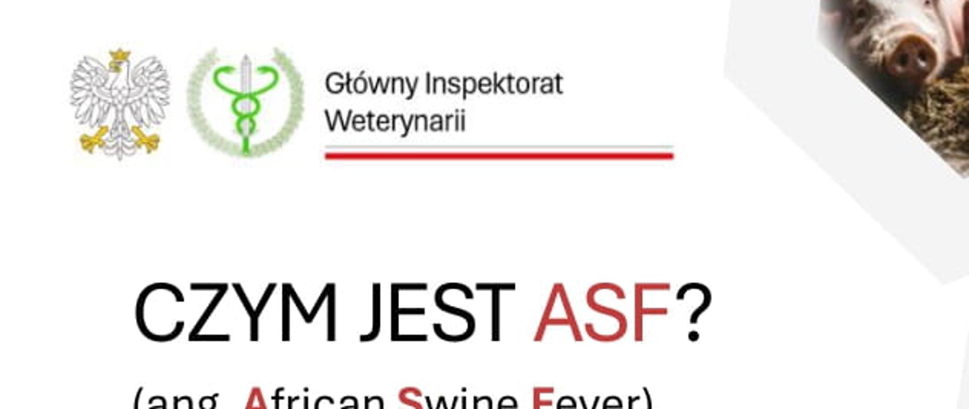 ulotka informacyjna nt. African Swine Fever