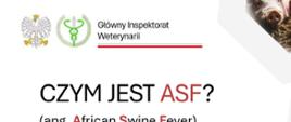 ulotka informacyjna nt. African Swine Fever
