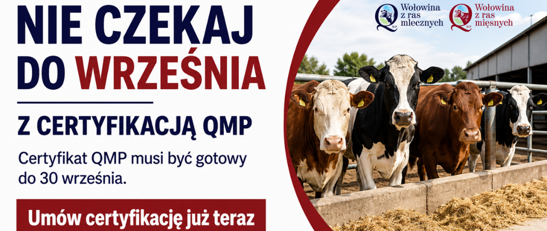 Baner_QMP_certyfikacja