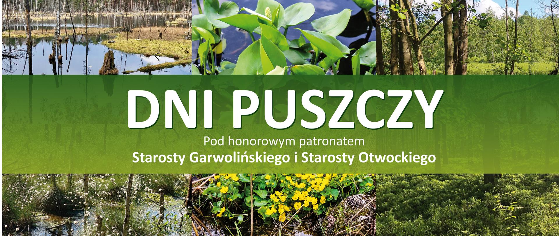 Dni Puszczy - plakat